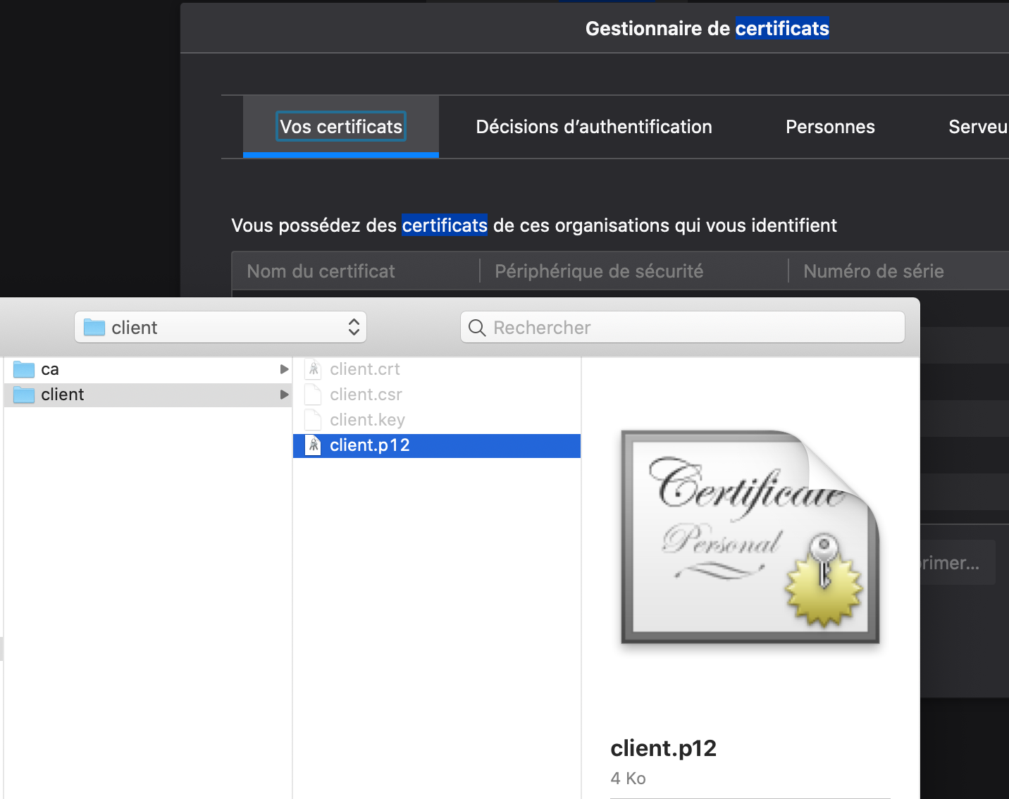 Firefox certificate