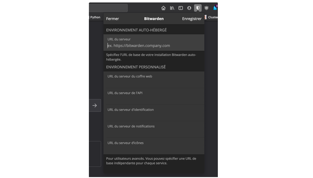 Bitwarden plugin parameters